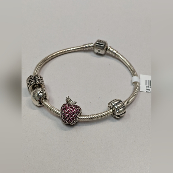 Pandora Sterling Silver Apple Charm Bracelet - Picture 4 of 6